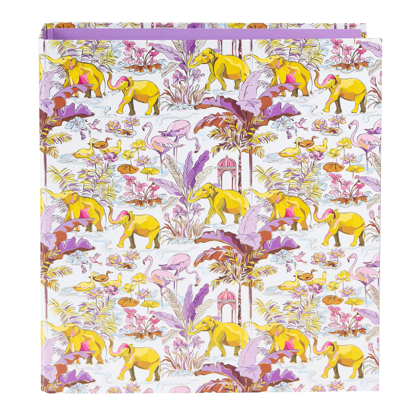 Insignia Light A4 Evrak Klasörü – Gold Yaldızlı, 8cm Geniş, Halka Mekanizmalı