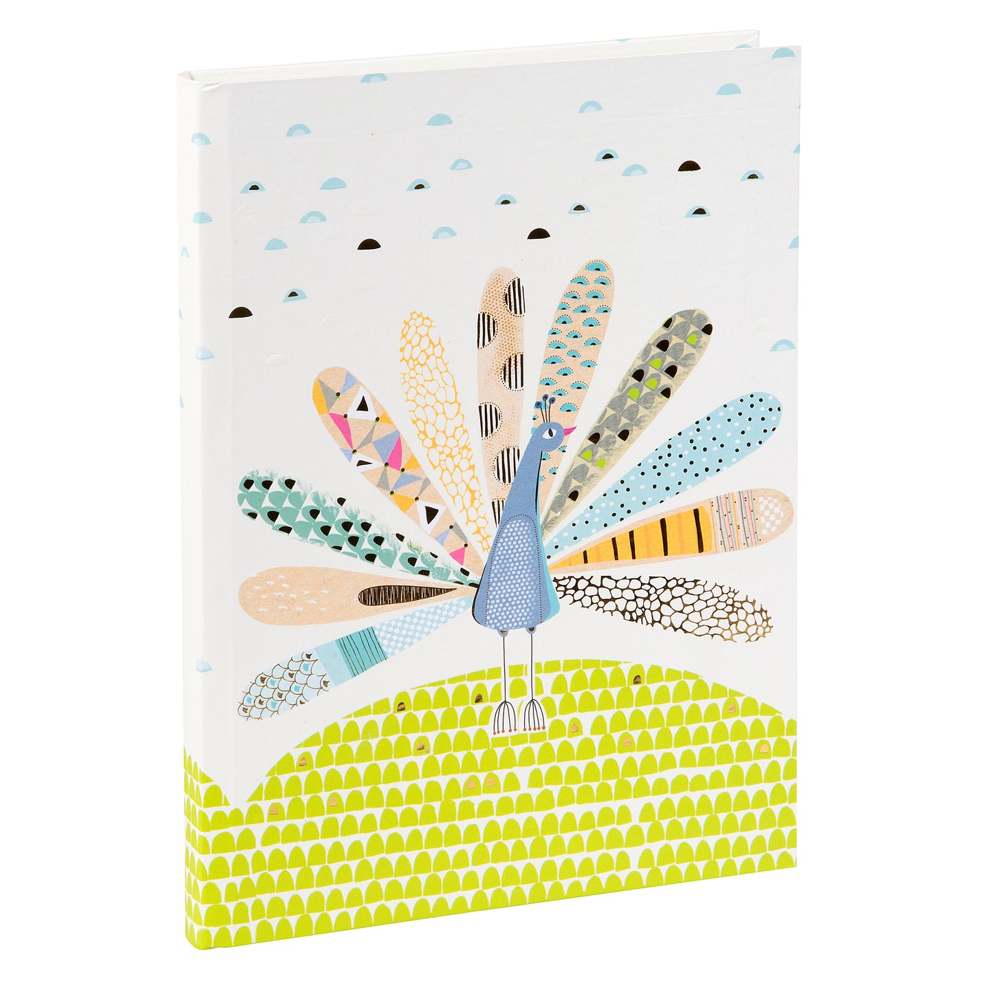 Goldbuch Pavo A5 Notebook – 200 Pages, 100 gsm, Gold/Silver Embossed