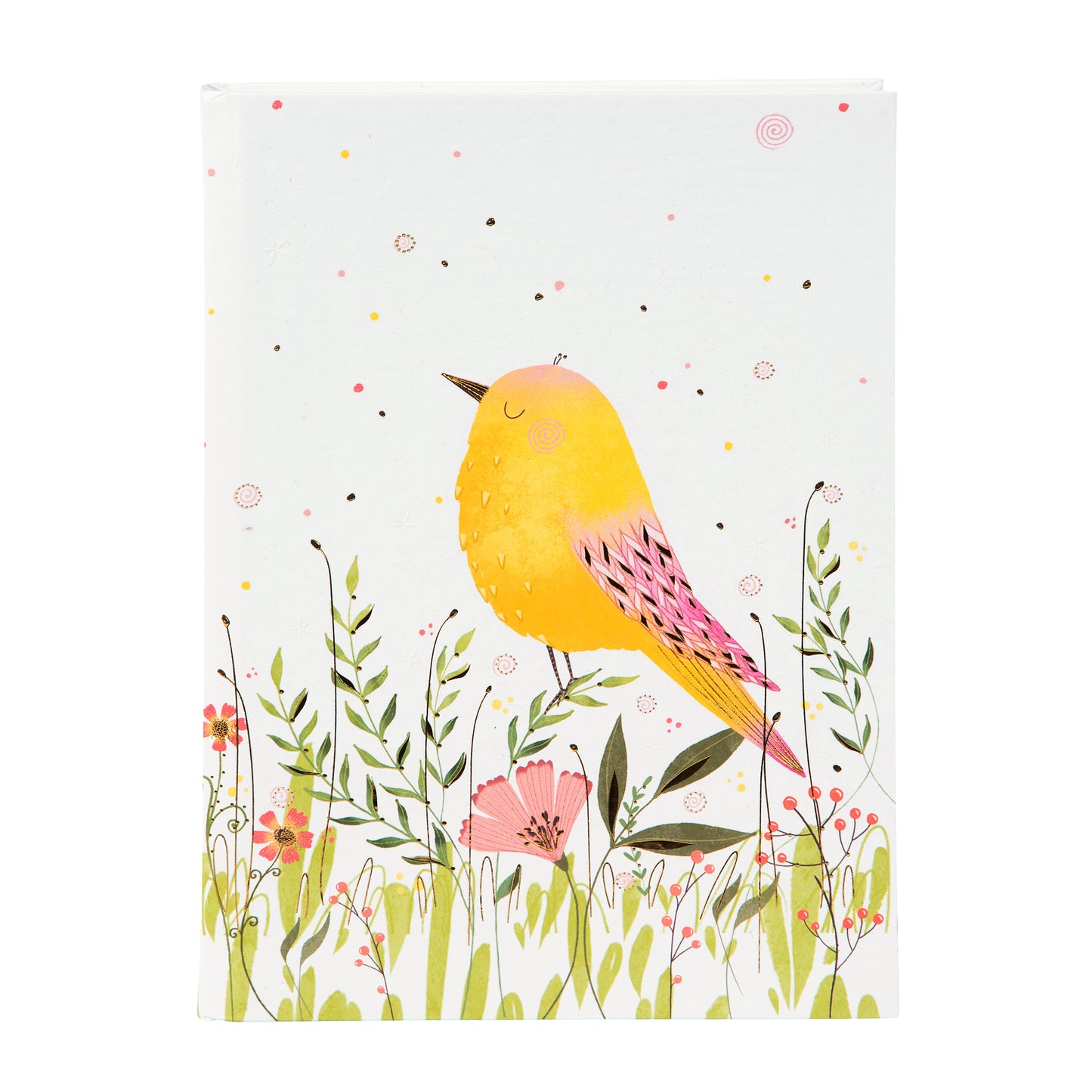 Goldbuch Sparrow A5 Notebook – 200 Pages, 100 gsm, Gold/Silver Embossed